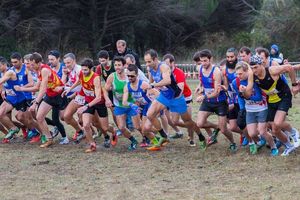 22-01-2017 Régionaux-Est de Cross - FREJUS