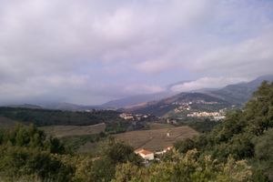 Vacances à Banyuls