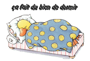 ASTUCES POUR S'ENDORMIR ET BIEN RECUPERER