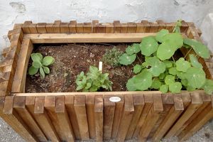 Des jardinières pour l'école
