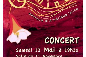 2017 05 13 - Concert CAMINO à 19h30