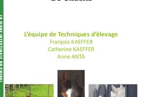 Tout savoir sur la flore digestive intestinale du cheval ! Le poster