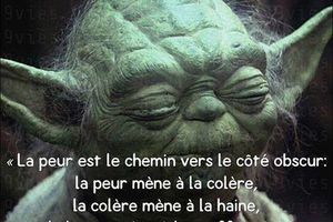Le J.T. : La télé qui rend parano !
