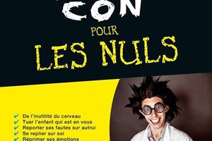 Comment discréditer quelqu'un qui pose les questions qui dérangent ?