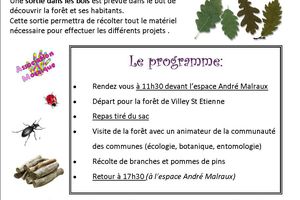 Sortie nature pour les 10-14 ans