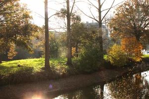 52 semaines en images_Thème#44_Réflexion