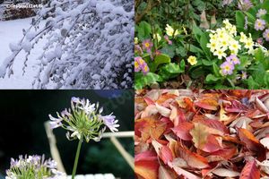 52 semaines en images_Semaine 52_Les 4 saisons