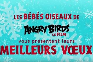 Angry Birds - Meilleurs Voeux