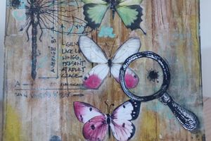 Chasse aux papillons