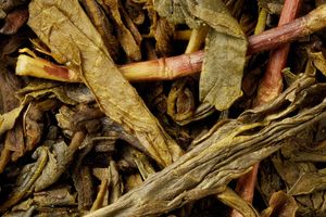 (Re)découvrez tous nos Earl Grey