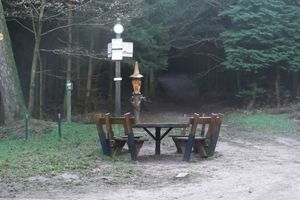 TABLE DES SORCIERES - BROTSCH - CUVE DE PIERRE