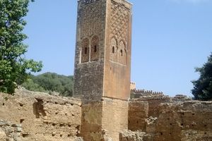 الميثاق العالمي لحقوق الإنسان