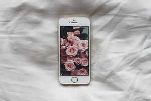 What's in my phone ?