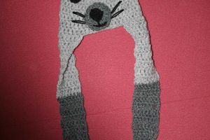 Un bonnet souris .
