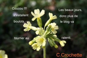 Petite info !