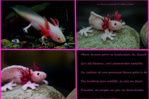Une Salamandre