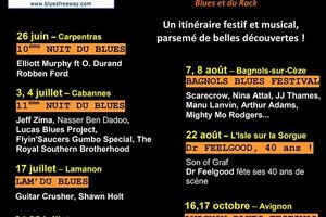 De Carpentras à Avignon en passant par Cabannes...La route du blues 2015!