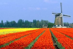 Séjour en Hollande, Utrecht et environs