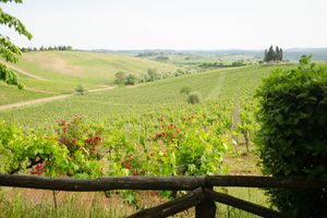 {Quelques jours en Toscane} Episode 3: Sienne et le Chianti