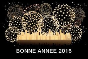 Bonne année 2016!
