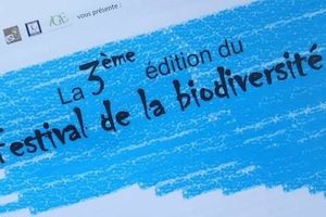 C'est fait !! Projet de participation "validé". Festiv' de la Biodiversité Mai 2016