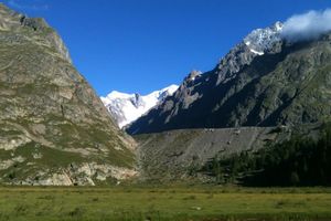 Semaine du 24 au 30 Juin : le programme
