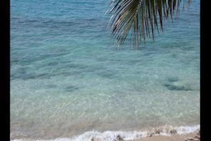 Les vacances de Tuvahou : au sud de l'île