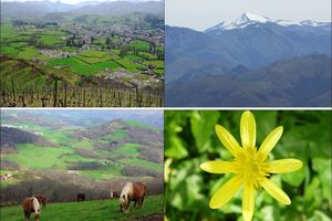 Pic Arradoy depuis Ispoure / Saint-Jean-Pied-de-Port (Rando)