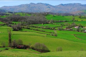 Balade au départ de Lasse (Pyrénées-Atlantiques 64) AA