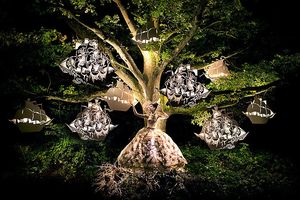 Kirsty Mitchell