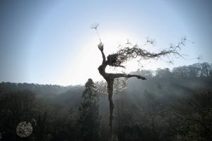 Sculptures féériques - Histoire de coups de coeur