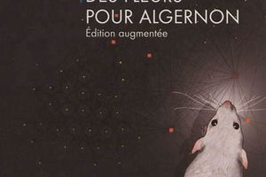 Des fleurs pour Algernon de Daniel Keyes