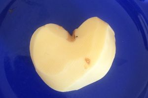 Un pomme d'amour ?