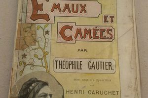 reliure Emaux et camées