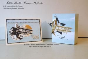 Ensemble cadeau Boîte + Carte