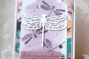 Songe de libellule