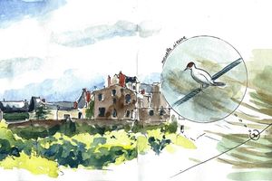 Retour sur le 48e sketchcrawl