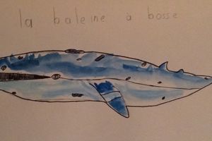 Retour sur le 54e sketchcrawl