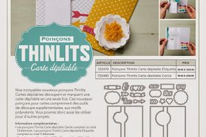 Thinlits et promotion !!