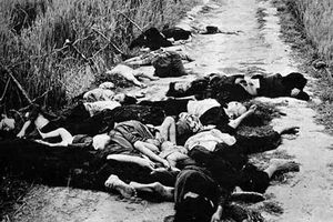 crime de guerre; crime contre l'humanité, génocide