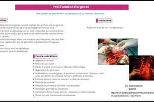 Prélèvement d'organes: principes