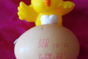 Les oeufs, mais ça vient faire quoi sur ce blog!