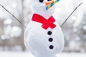 Je vous souhaite 365 jolies journées_Chronique du concours(2)