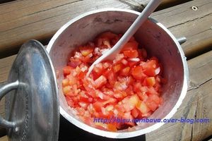 Le Rougail Tomate