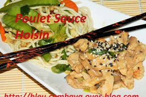 Poulet sauce Hoisin (Chine)