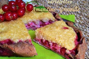 Tartelettes Amandines Rustiques aux Groseilles