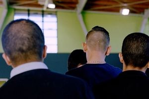 La désorientation, Bondyblog