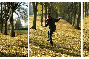 Promenons nous dans les bois