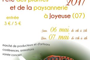 Ethnoplante, initiation à l'éco-vannerie à Joyeuse (07)