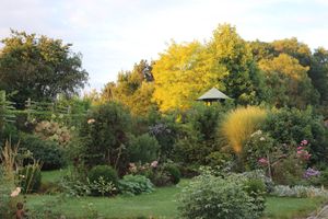 C'est déjà l'automne...